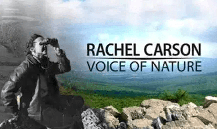 Rachel Carson Voice of Nature