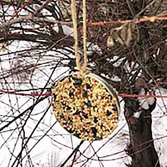 How to Make Birdseed Ornaments Pittsburgh Earth Day