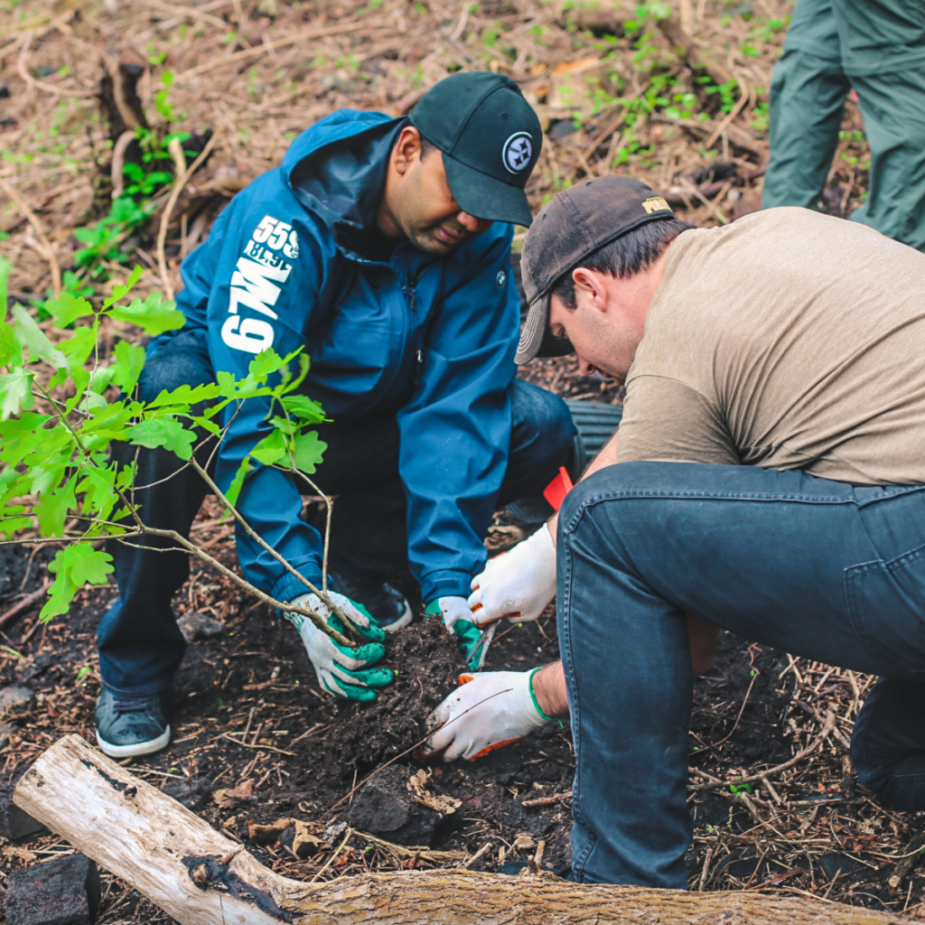 Tree Pittsburgh Celebrates Arbor Day with Free Trees, Educational