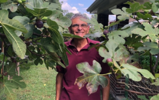 Alan Savinell stands between two of his fig trees.