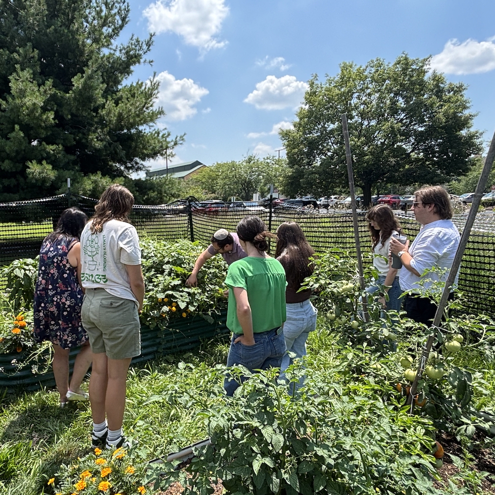 Greater Pittsburgh Community Food Bank volunteers