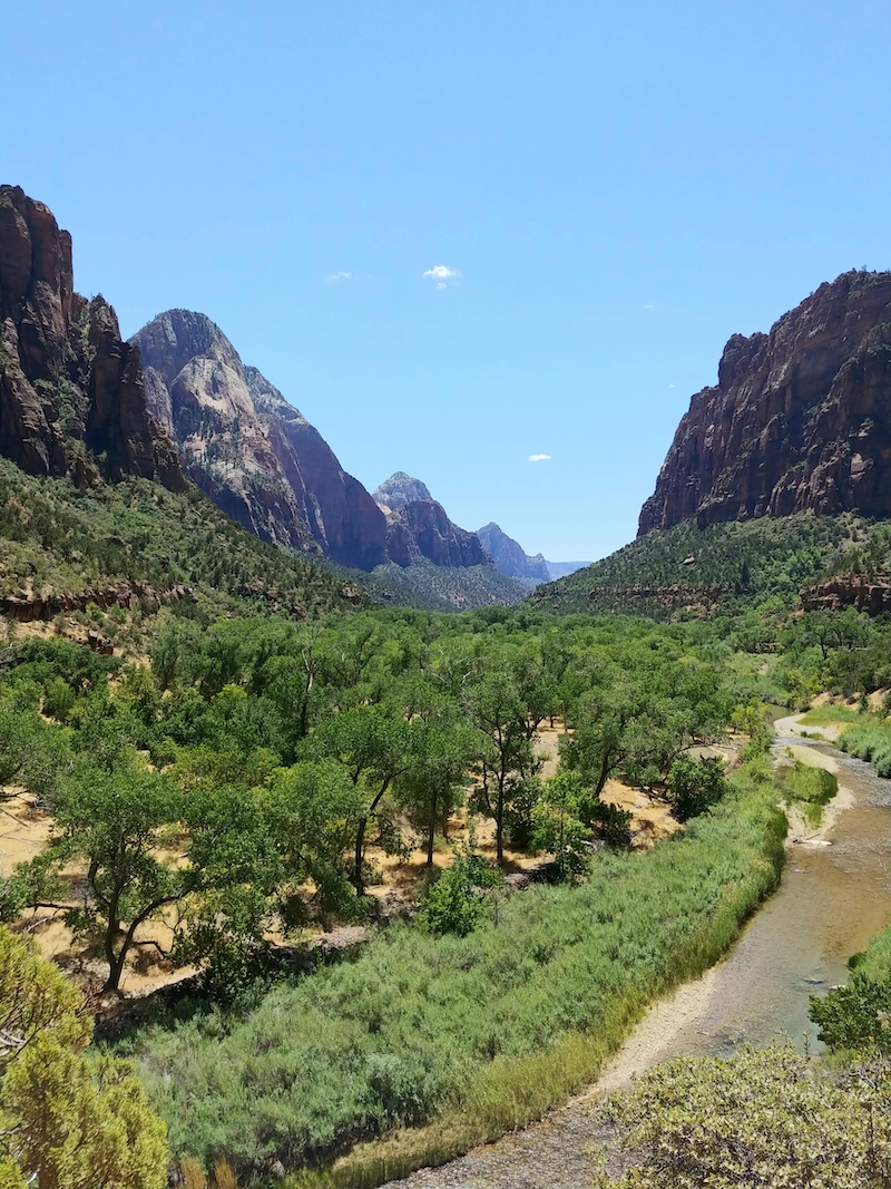Zion National Park Canyon