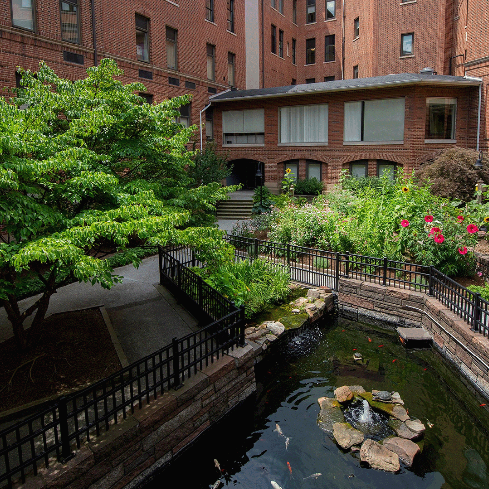 Sustainability You Can See: What Patients Experience During a Stay at UPMC