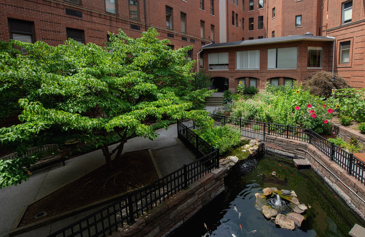 Magee Patient Garden (UPMC)