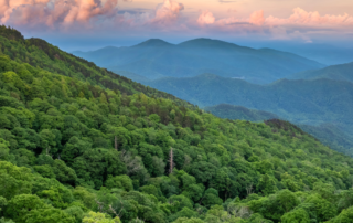 How Do Mitsubishi Electric Systems Reduce My Carbon Footprint?