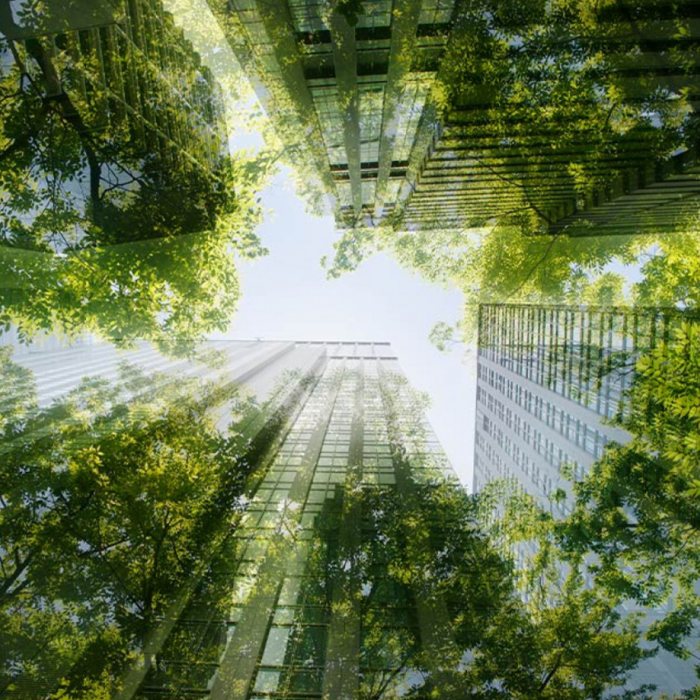 A Look Inside Mitsubishi Electric’s Sustainable Development Goals